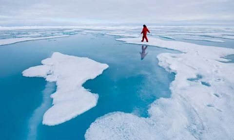 Nature Arctic Special